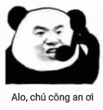 Meme gấu trúc báo công an cực hài hước khiến netizen cười
