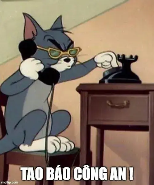 Mèo Tom bực bội gọi điện báo công an