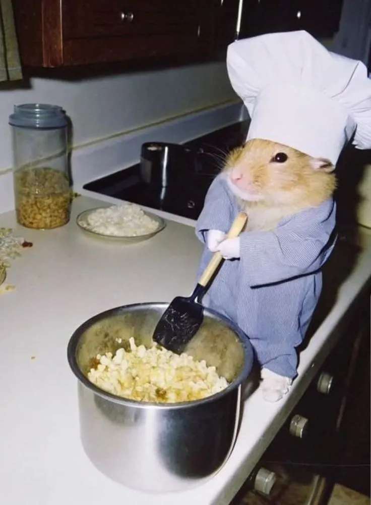 Meme chuột hamster bá đạo dáng đứng cực hài