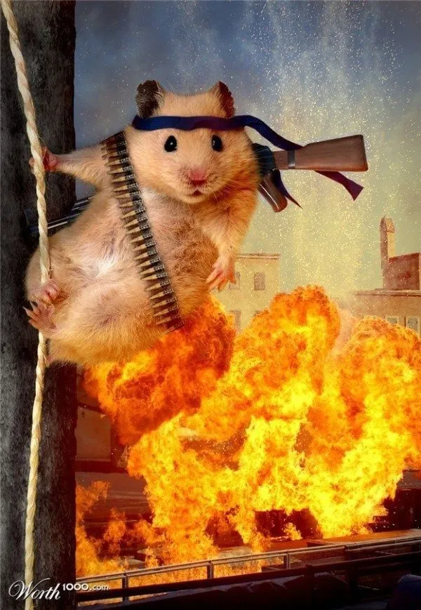 Avatar chuột hamster hài hước cực bá đạo