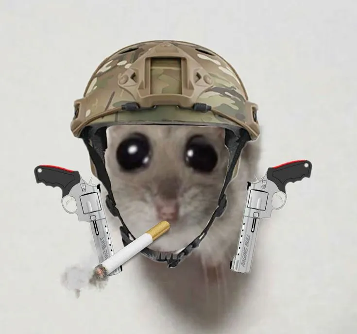 Ảnh chuột hamster cầm súng vui nhộn cực kỳ bá đạo