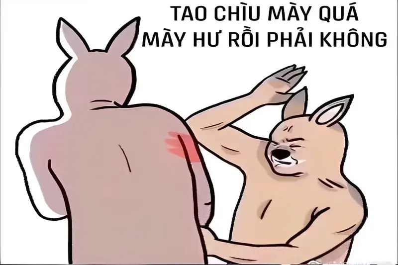 Meme chuột túi đánh vai