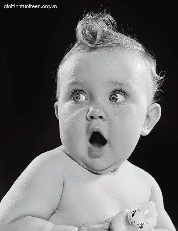 Meme ngạc nhiên quá đà khiến cả khung cảnh bật cười.