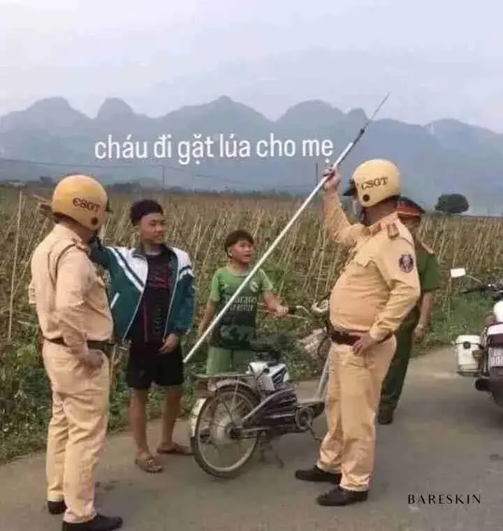 Meme cảnh sát giao thông bắt các thanh niên cầm phóng lợn
