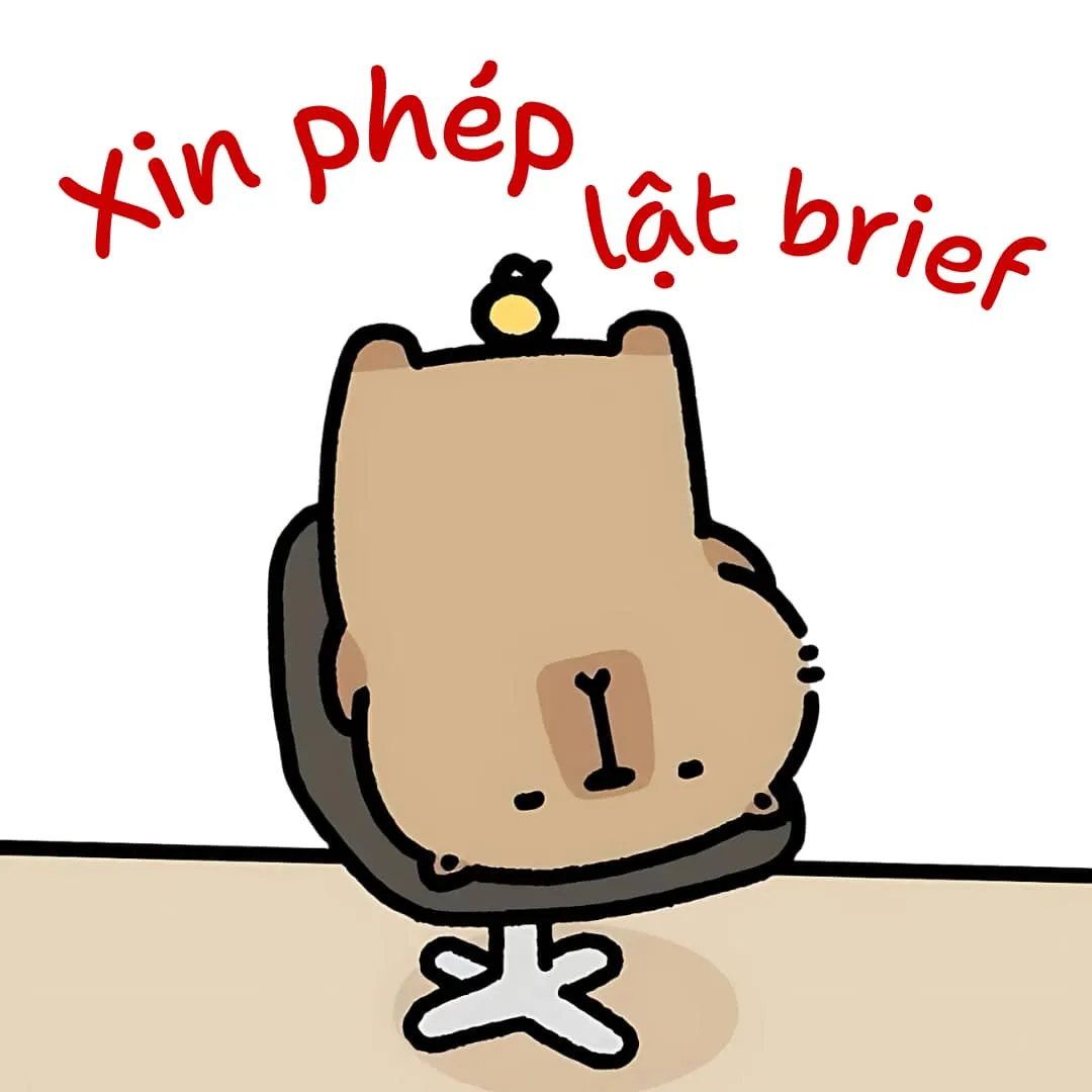 Xin phép lât brief