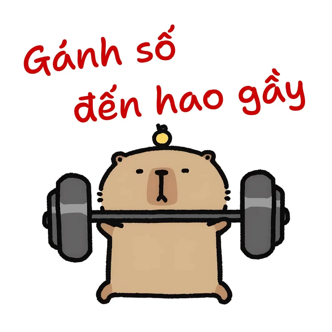 Capybara gánh số đến hao gầy