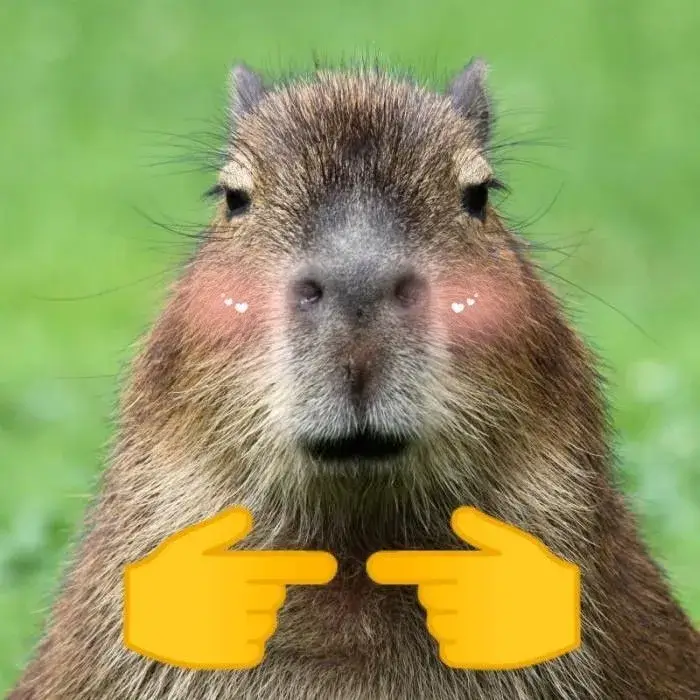 Meme capybara vô cảm, gương mặt tẻ nhạt.