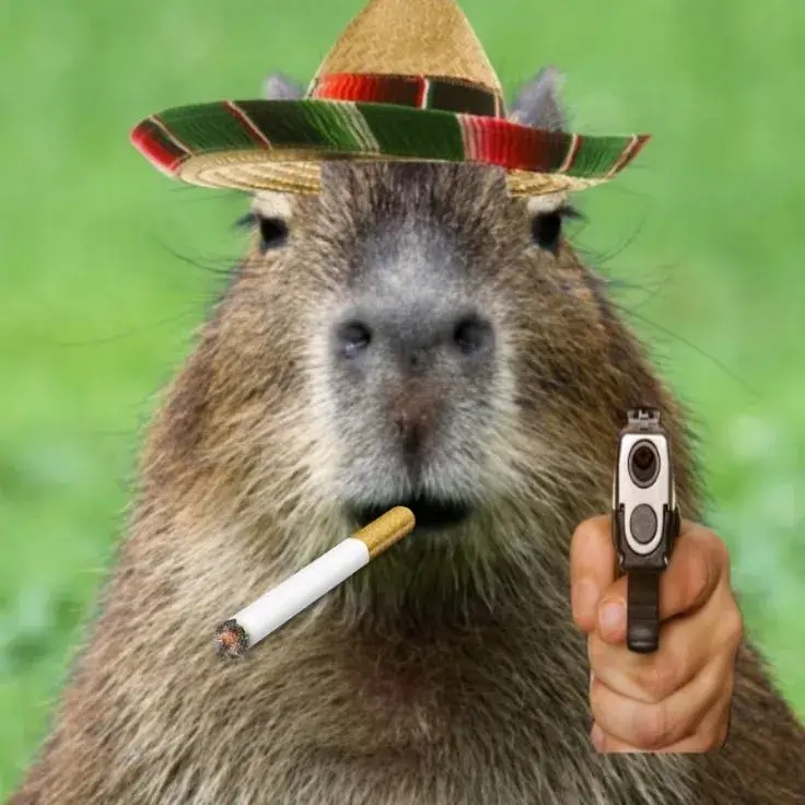 Ảnh capybara chỉa súng