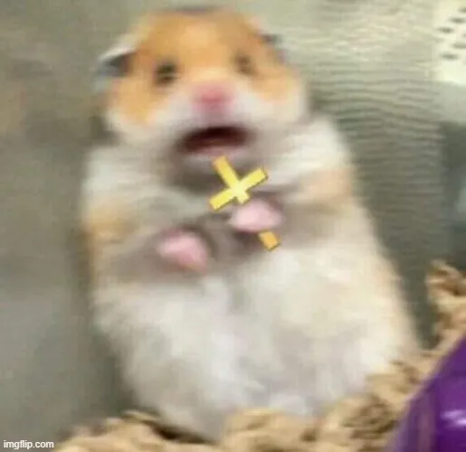 Ảnh meme chuột hamster hoảng hốt cầm thánh giá đáng yêu