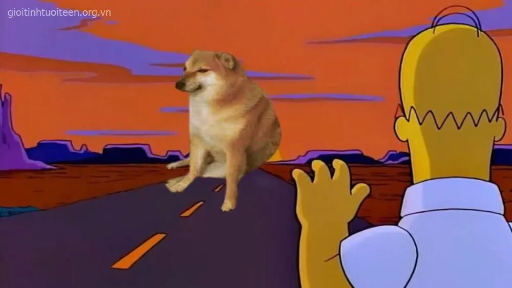 Cheems khổ sở với ánh mắt chán nản, buồn rầu