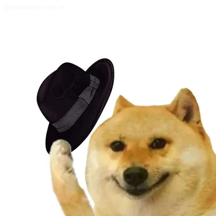 Cheems giơ mũ lên chào