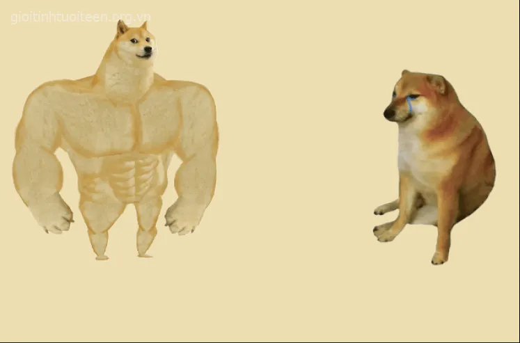 Cheems troll dáng vẻ cơ bắp