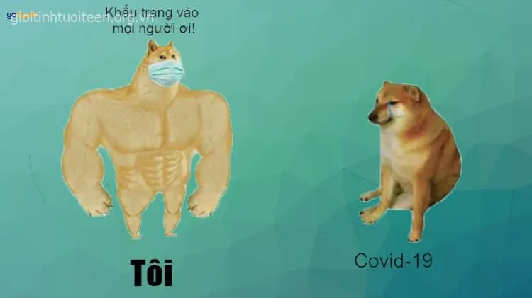 Ánh mắt Cheems cơ bắp đáng sợ