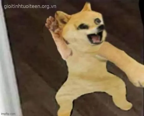 Ảnh Cheems giơ nắm đấm như muốn đấm bạn