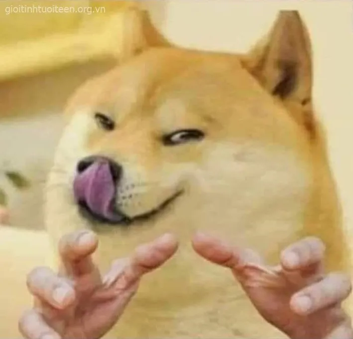 Meme Cheems đưa đôi bàn tay muốn sờ mó