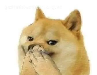 Chó Cheems bịt miệng cười khúc khíchChó Cheems bịt miệng cười khúc khích