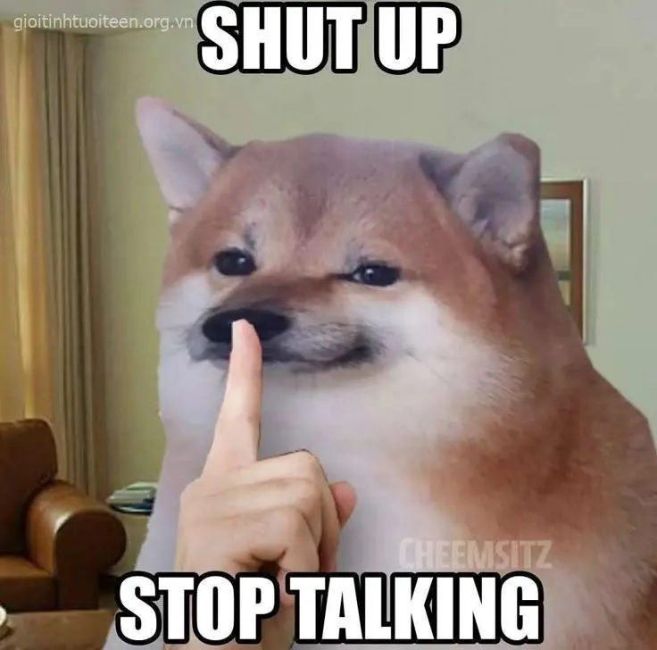 Khuôn mặt Cheems troll lém lỉnh khiến ai cũng bật cười