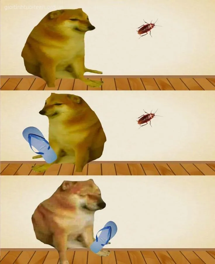 Cheems troll với ánh mắt láu cá đầy tinh nghịch