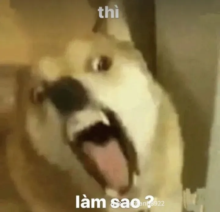 Hình chó giận dữ, lông dựng đứng, biểu cảm cực gắt