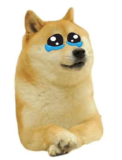 Khuôn mặt chó Shiba thẫn thờ, ánh mắt lặng lẽ khóc thầm.