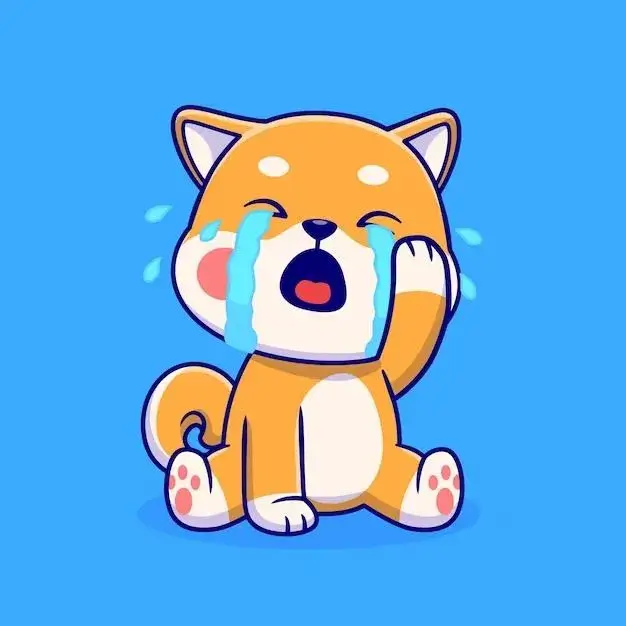 Avatar Gương mặt ngây dại, ánh nhìn lạc lõng rơi nước mắt.