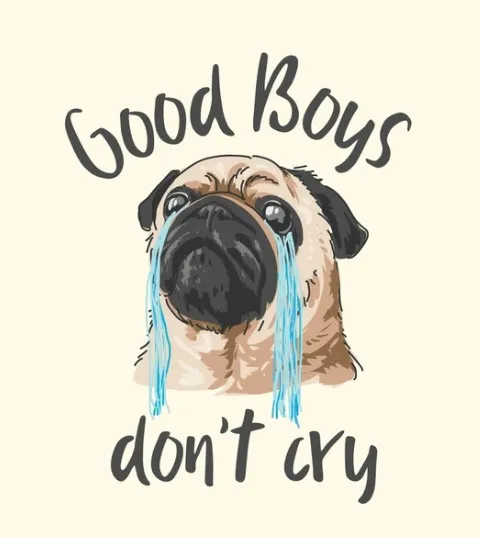 Chó mặt xệ khóc vừa buồn vừa hài lan truyền khắp mạng xã hội