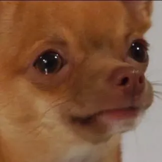 Vẻ mặt tuyệt vọng, đôi mắt ròng ròng khóc hết nước mắt.