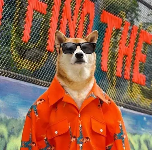 Chó mặc áo sơ mi đỏ, nhìn trang trọng và lịch sự.