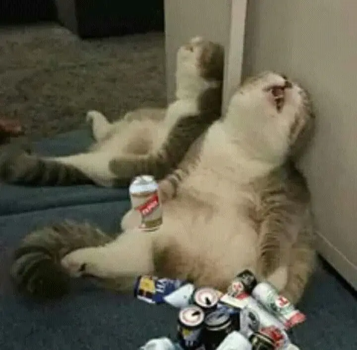 Hình ảnh mèo ngồi uống bia, khuôn mặt hớn hở tếu táo.