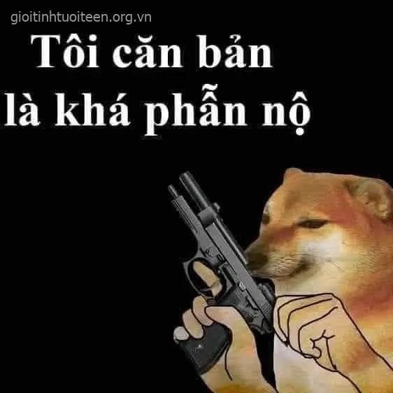 Chú chó Cheems lên nóng súng lục