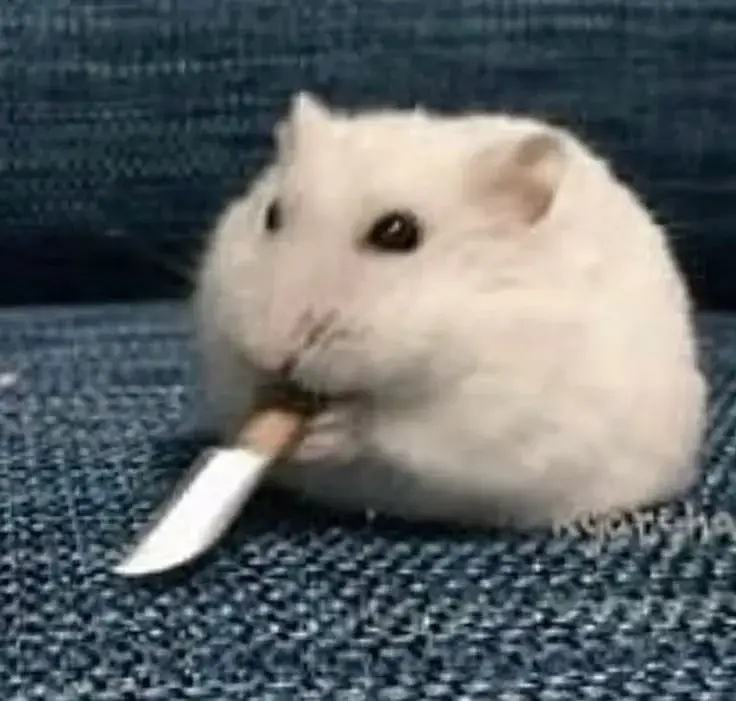 Meme chuột cầm dao cực cá tính