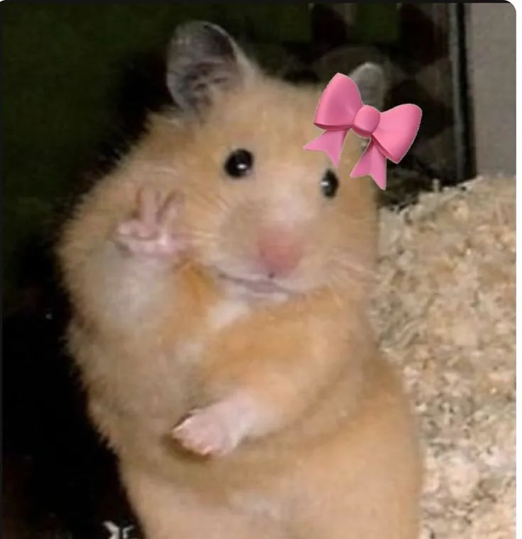 Hình chú chuột rạng rỡ rất tươi tắn