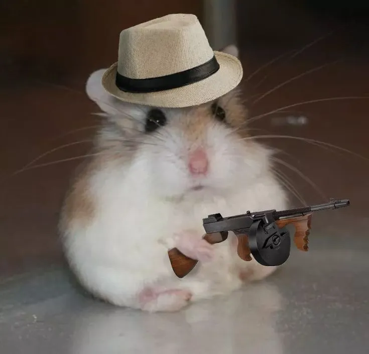 Hình chuột hamster cầm súng lầy lội mặt phúng phính hài