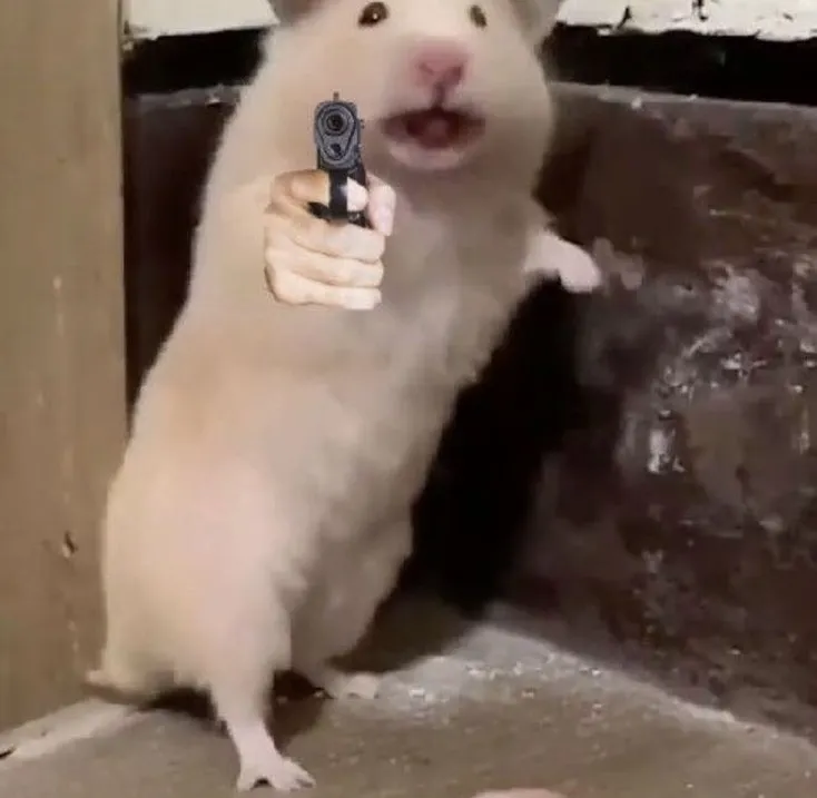 Meme chuột hamster chỉa súng hài hước cực dí dỏm
