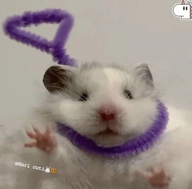 Avatar chuột hamster lầy lội cực hài hước