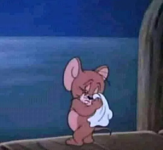 Ảnh Jerry khóc lóc hài hước khiến ai cũng cười.