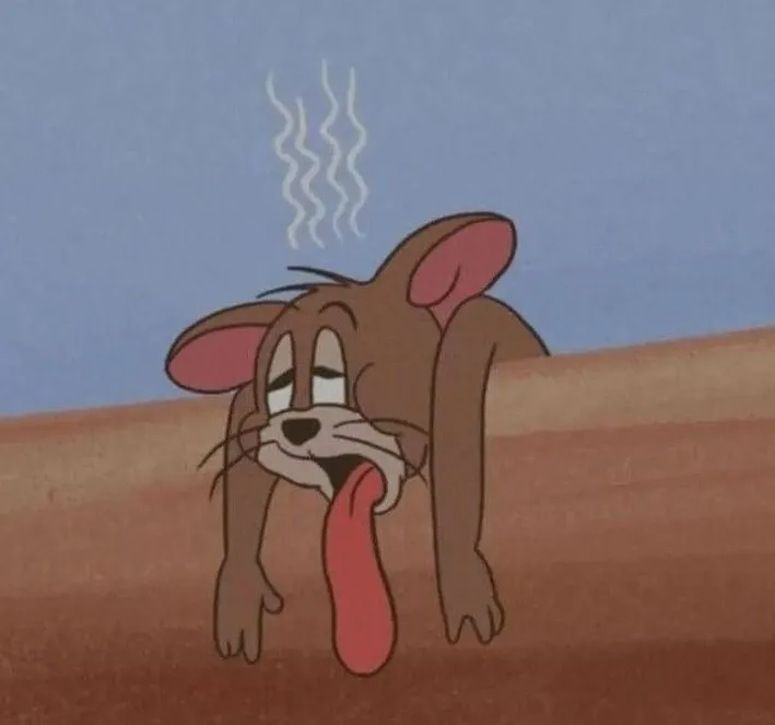 Hình ảnh Jerry khóc dở mếu dở trông thật buồn cười.