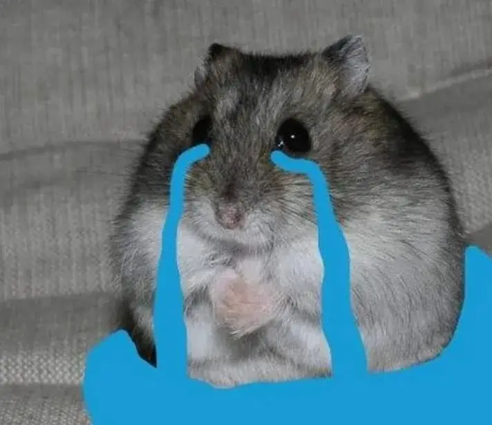 Hình chuột Hamster khóc không thành tiếng, ánh mắt ngấn lệ.