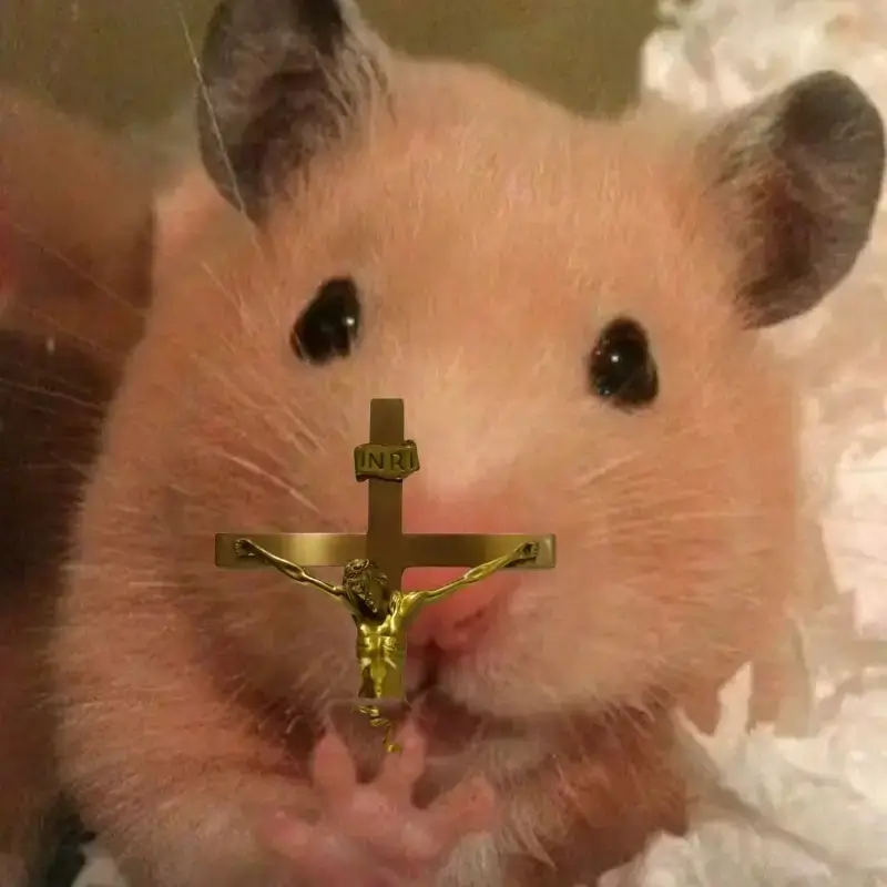 Chuột nhỏ gào khóc, tiếng kêu đầy buồn cười chua chát.