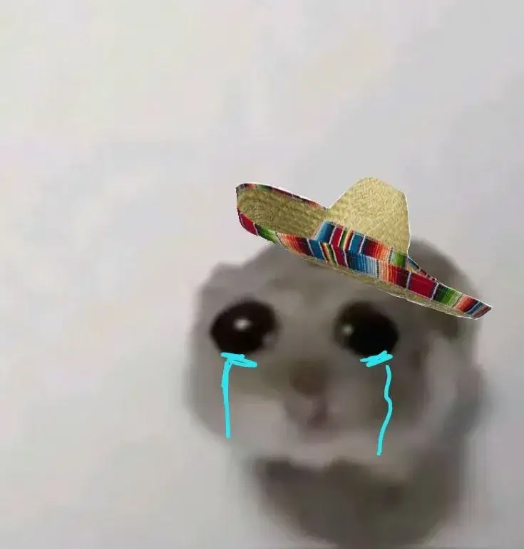 Hamster ôm mặt khóc, dáng ngồi co ro tội nghiệp.