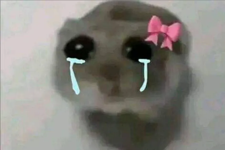 Chuột nhỏ khóc trong lòng, trái tim run rẩy đầy tổn thương.