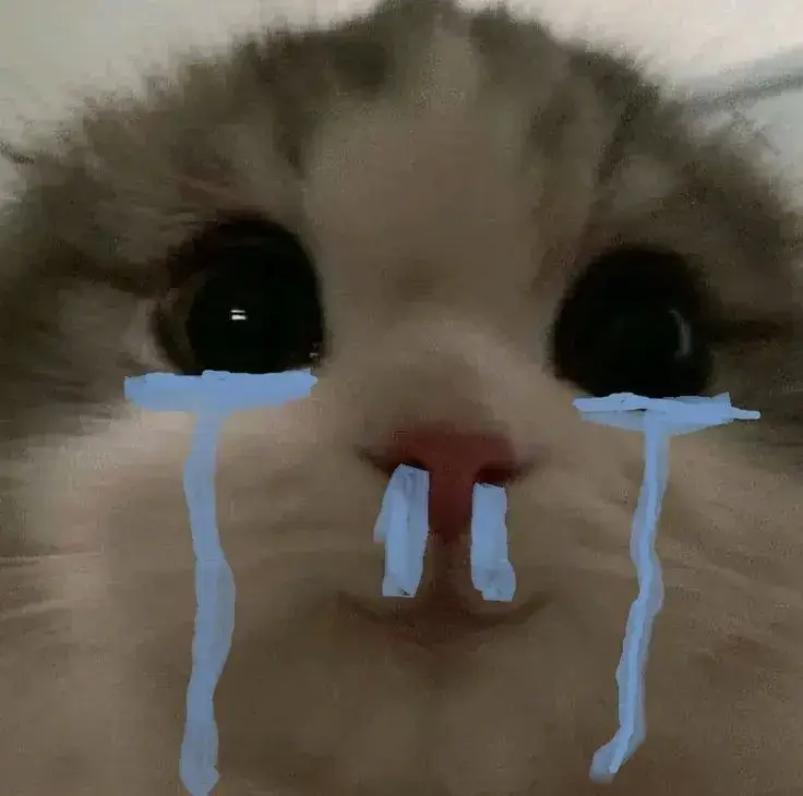 Meme chuột khóc to, vừa hài vừa thương đến rớt nước mắt.