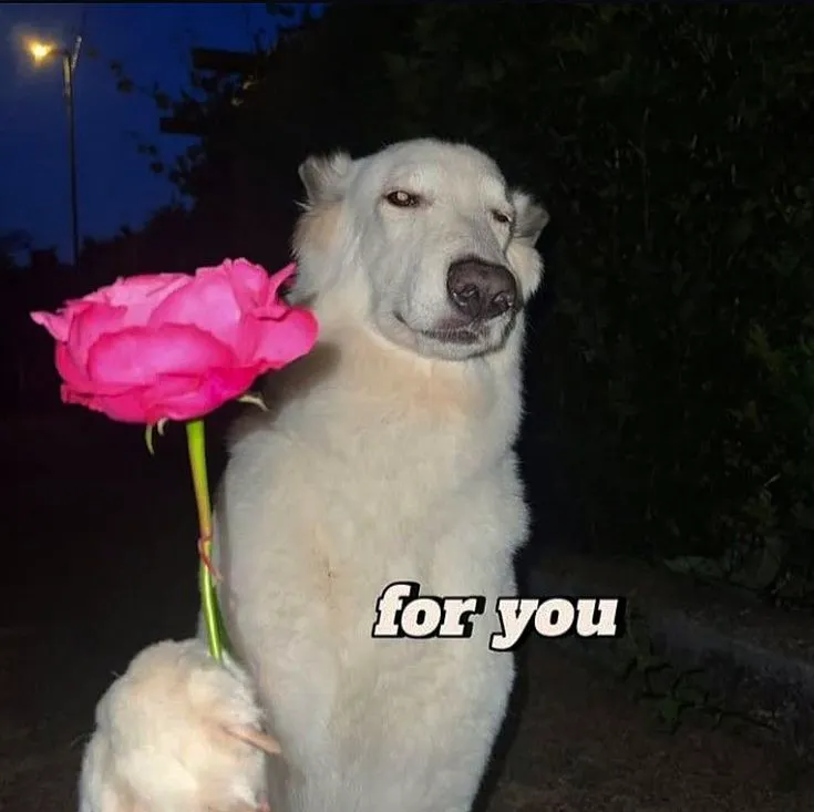 Hình chú chó tặng hoa, khuôn mặt ngây ngô cực cưng.