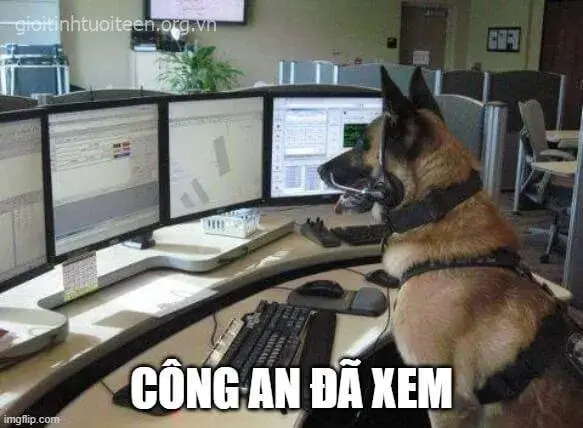 Hình vui “mắt dõi theo từng hành vi cực gắt”