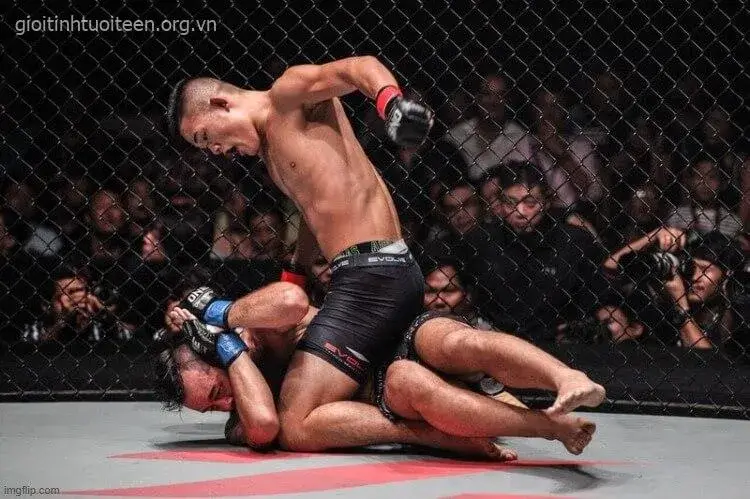 Võ sĩ đè đối thủ xuống sàn đấu đấm túi bụi vào mặt