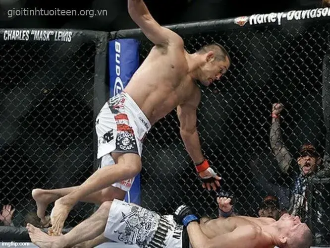 Ảnh các võ sĩ MMA đánh nhau trong lồng bát giác