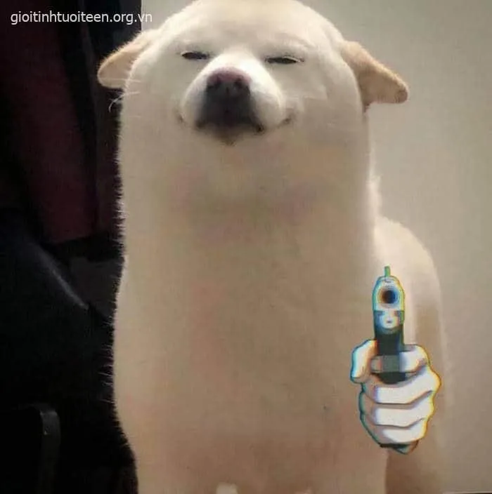 Meme Doge cầm súng nhìn nghiêm túc nhưng lầy.
