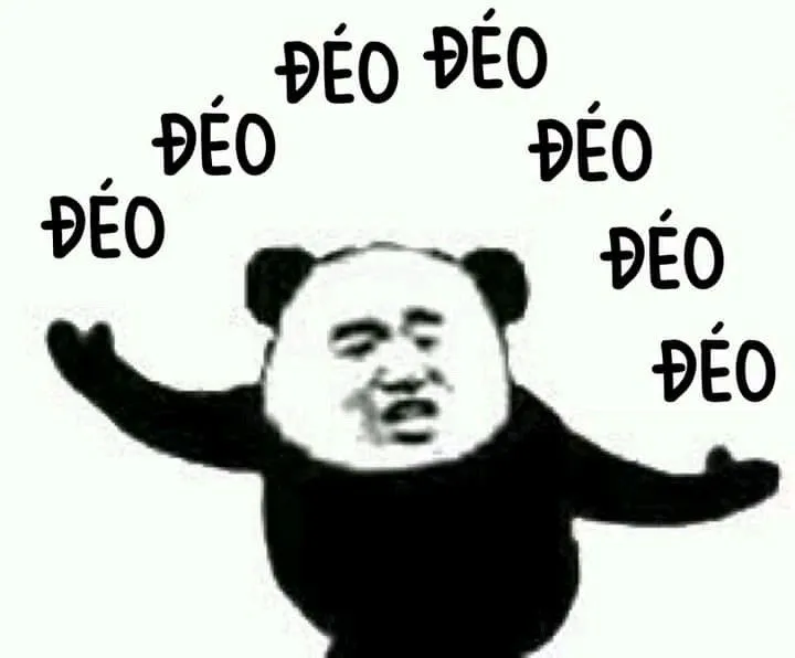 Meme gấu trúc bá đạo 1 loạt chữ Đéo