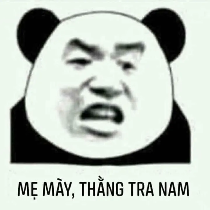 Ảnh chế gấu trúc nhây chửi Thằng tra nam