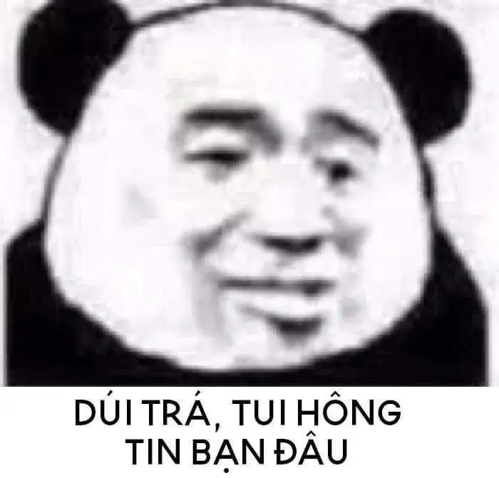 Meme gấu trúc bá cháy: Dối trá, tôi ko tin bạn đâu